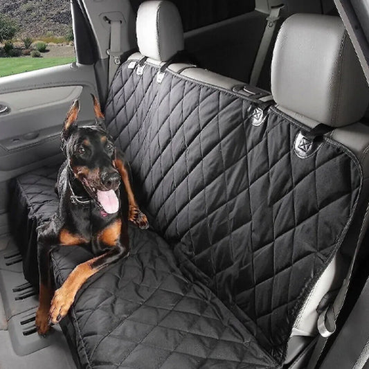 Chien couché auto sur tapis protection voiture pour chien | Caniprotect
