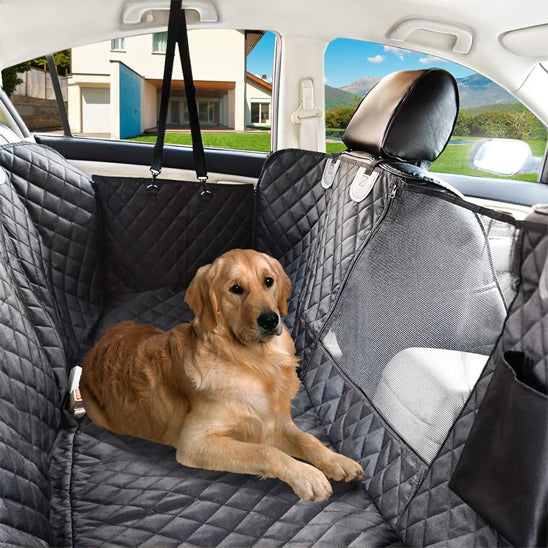 Chien couché sur Housse pour voiture pour chien Moustiquaire