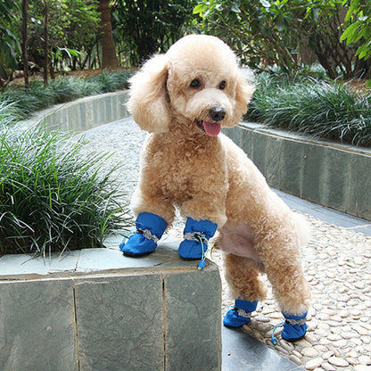 Chien debout porte Chaussures pour chiens