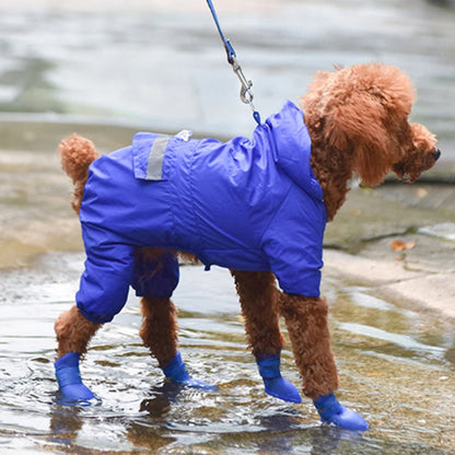 Chien en laisse porte Chaussures chien | Imperméables