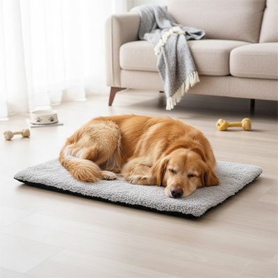 Cien endormi sur son Tapis Chien dans le salon