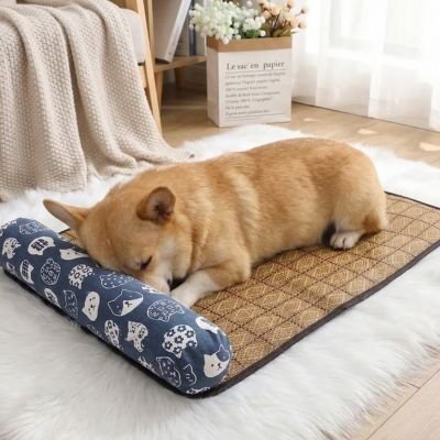 Chien endormi sur son Tapis fraicheur Chien dans le salon