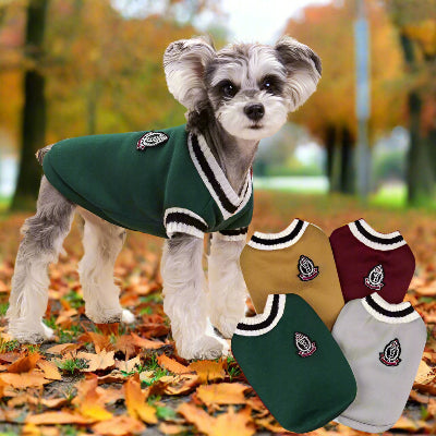 Chien dans les feuilles l'automne porte Pull pour petit chien