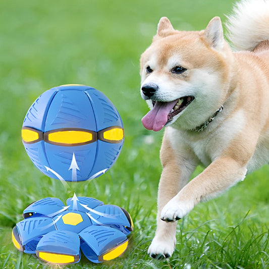 Chien heureux avec jouet interactif pour chien LumiSphere™