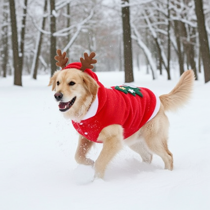 Chien neige porte pull de noel chien CapuChien Festif