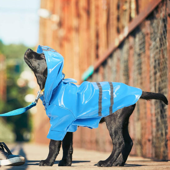 Chien porte manteau de pluie pour chien bleu
