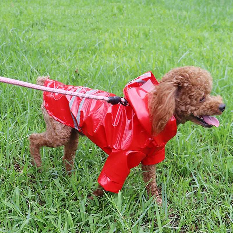 Chien porte manteau de pluie pour chien rouge