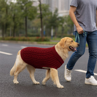 Chien en promenade porte Pull en tricot pour chien 