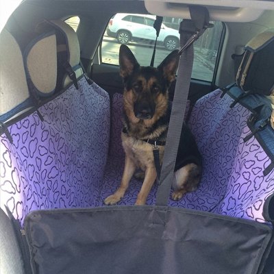 Chien protection voiture housse siège arrière violet berger allemand