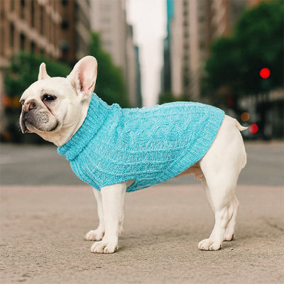 Chien dans la rue porte Pull en tricot pour chien 