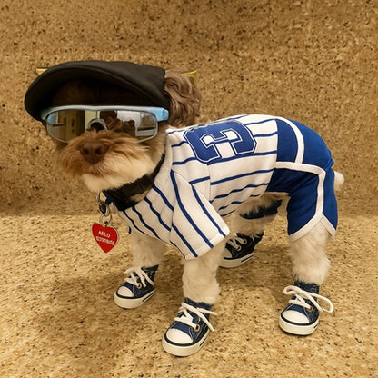 Chien stylé porte Chaussure pour chien | Baskets
