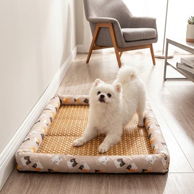 Petit chien sur tapis rafraîchissant chien - base antidérapante