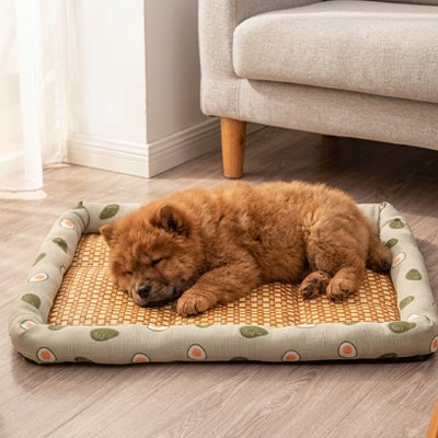 Golden Retriever allongé sur tapis rafraîchissant chien en fibres naturelles