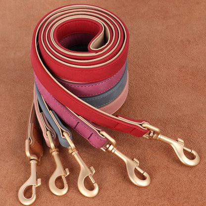 collier chien couleurs muliples avec laisses