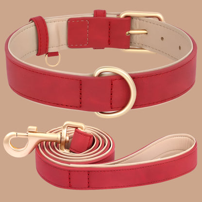 collier chien rouge