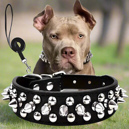 Collier cuir chien noir