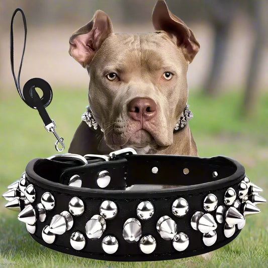 Collier cuir chien noir