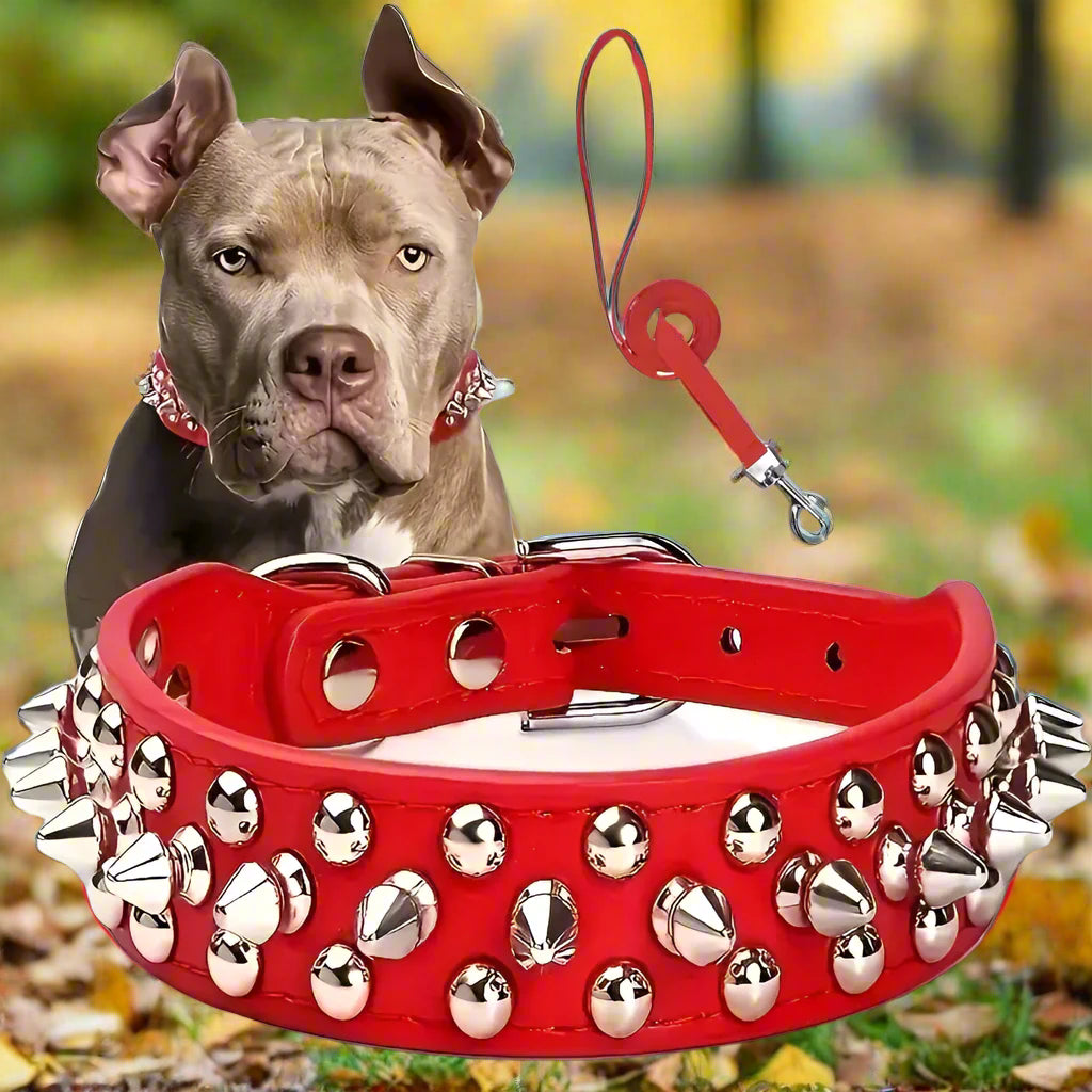 Collier cuir chien rouge