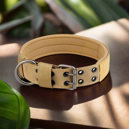 Collier pour chien kaki