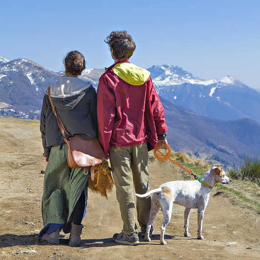 Couple avec chien en laisse sommet montagne