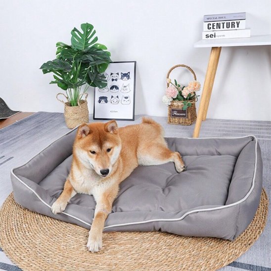 Lit pour chien CalmiCush™ – Shiba Inu assis dans coussin gris-bleu, vue plongeante