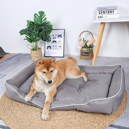 Lit pour chien CalmiCush™ – Shiba Inu assis dans coussin gris-bleu, vue plongeante