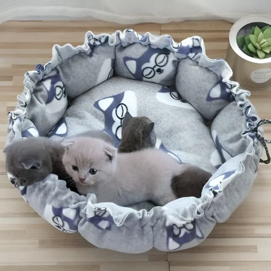 coussin chat nid doux