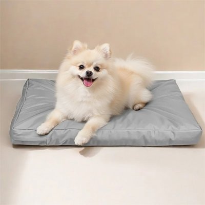 petit chien beige couché sur son Coussin Chien déhoussable