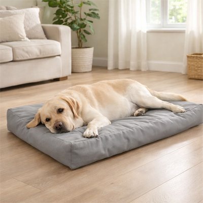 golden couché sur son Coussin Chien déhoussable imperméable