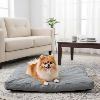 petit chien joyeux sur Coussin Chien déhoussable dans le salon