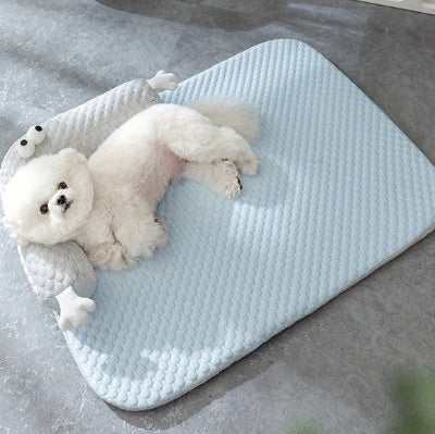 petit chien blanc étendu sur son Coussin chien