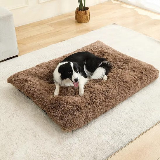chien noir et blanc couché sur Coussin chien XXL brun salon