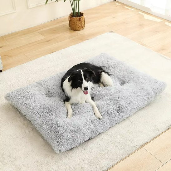 Coussin chien XXL gris pâle déhoussable et lavable