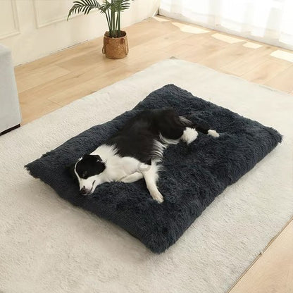 chien noir et blanc couché Coussin chien XXL gris foncé salon
