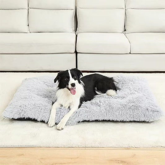 chien noir et blanc sur Coussin chien XXL gris pâle salon