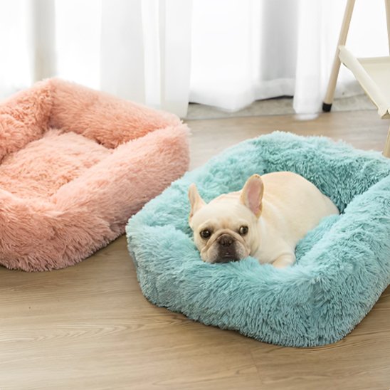 Coussin chien rectangulaire turquoise — chien allongé confortablement