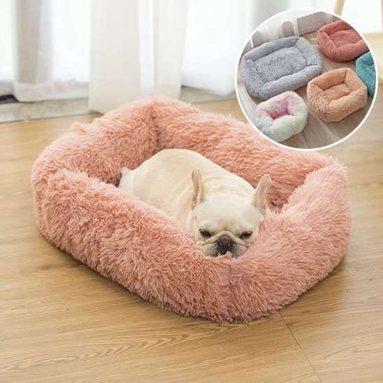 Coussin chien rectangulaire moelleux — vue d'ensemble gamme de couleurs