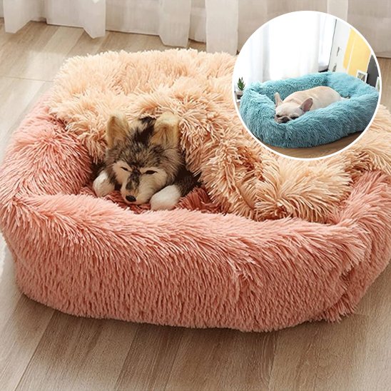 Coussin chien rectangulaire saumon — chien couché de côté