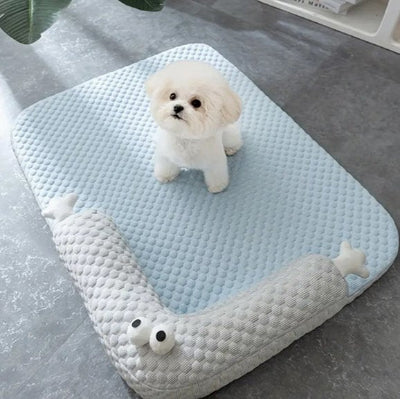 petit chien blanc assis sur Coussin chien bleu et blanc