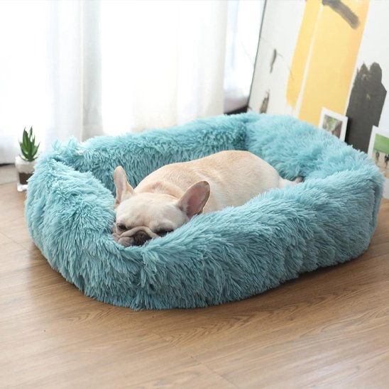 Coussin chien rectangulaire moelleux bleu — bouledogue français au repos