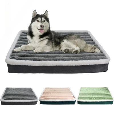 Husky couché sur son coussin pour chien mousse mémoire