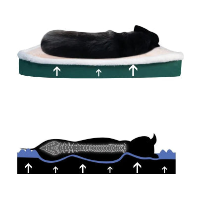 coussin déhoussable pour chien maintien postural