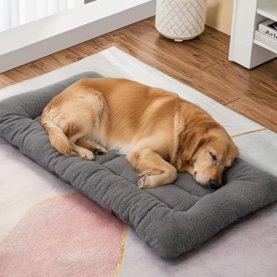 Chien de grande race au repos sur coussin double-face polyester doux 60x120 cm
