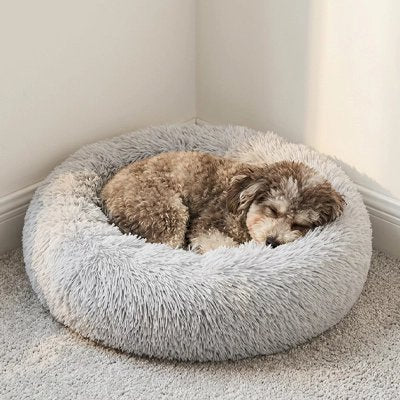 Coussin chien rond moelleux — petit chien installé confortablement