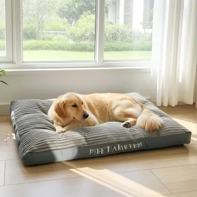 Coussins pour chien gris-pâle