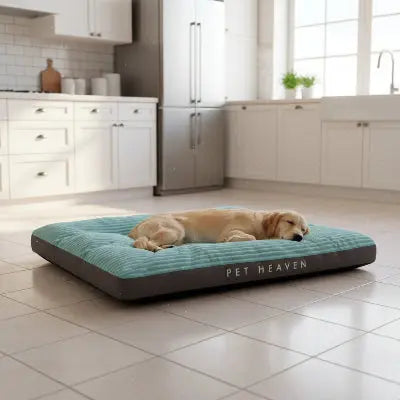 Coussins pour chien lavable