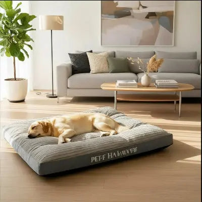 Coussins pour chien Ultra-Moelleux
