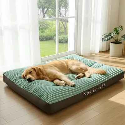 Coussins pour chien vert