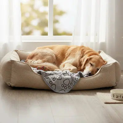 Couverture pour chien réconfortante