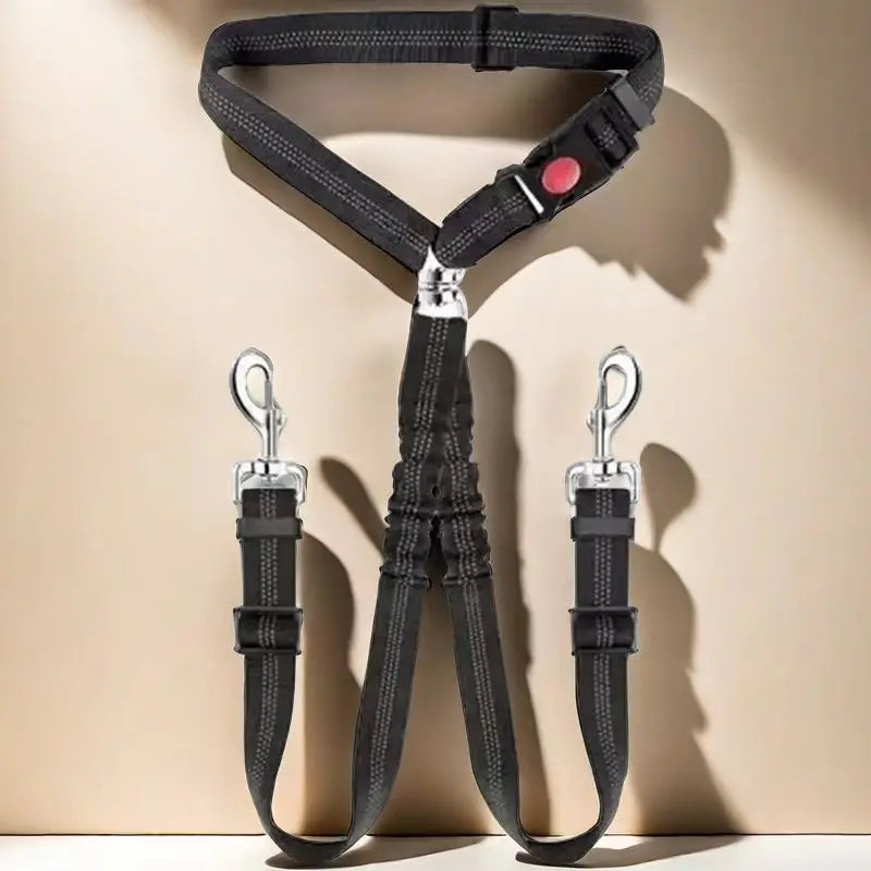 double laisse chien ajustable
